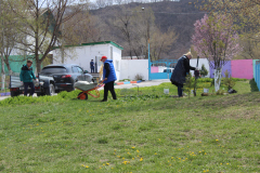 IMG_8465