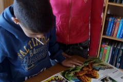 1111-1